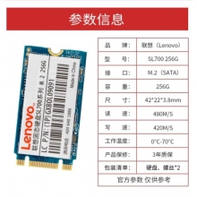 聯(lián)想（Lenovo) 256GB SSD固態(tài)硬盤 M.2接口(SATA總線) SL700固態(tài)寶系列 2242板型