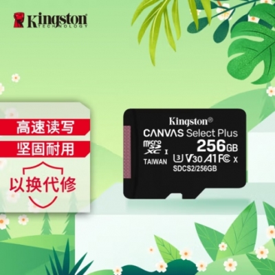 金士頓（Kingston）256GB TF（MicroSD） 存儲卡 U3 A1 V30 讀速100MB/s 